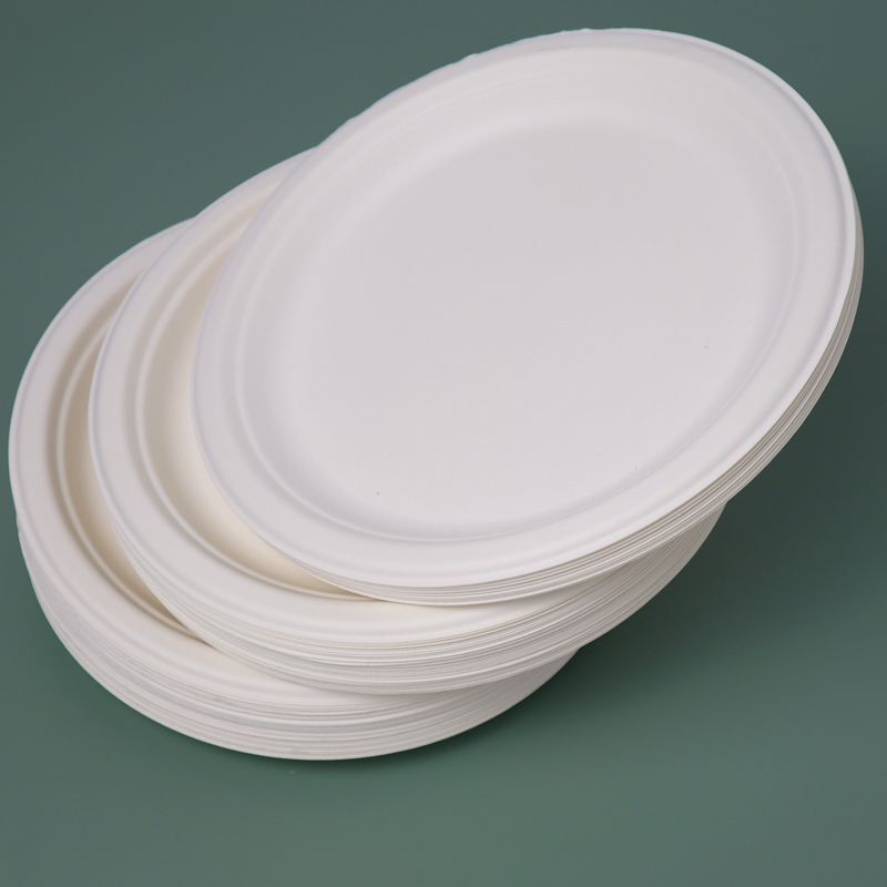 7 Eco-Friendly Disposable Plate – BioGreenChoice