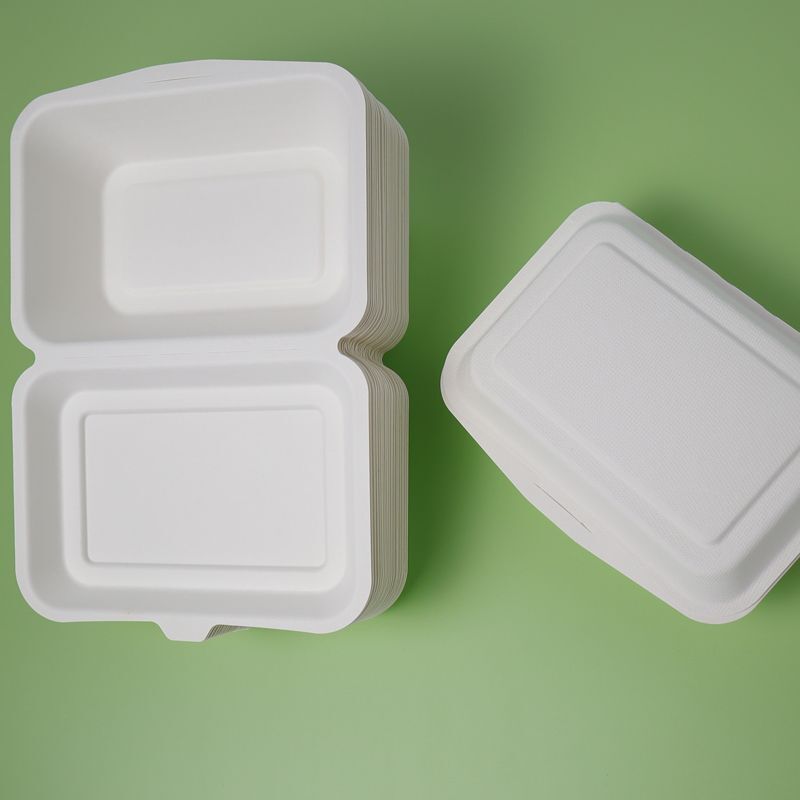 Eco-Friendly Compostable 9 Inch Cornstarch Takeaway Fast Food Clamshell Box