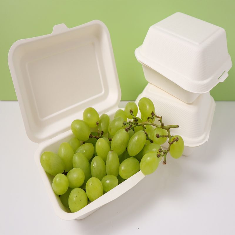 Eco Friendly Biodegradable Disposable Takeaway Take Away Lunch Box Food  Container - China Food Container and Biodegradable Boxes price