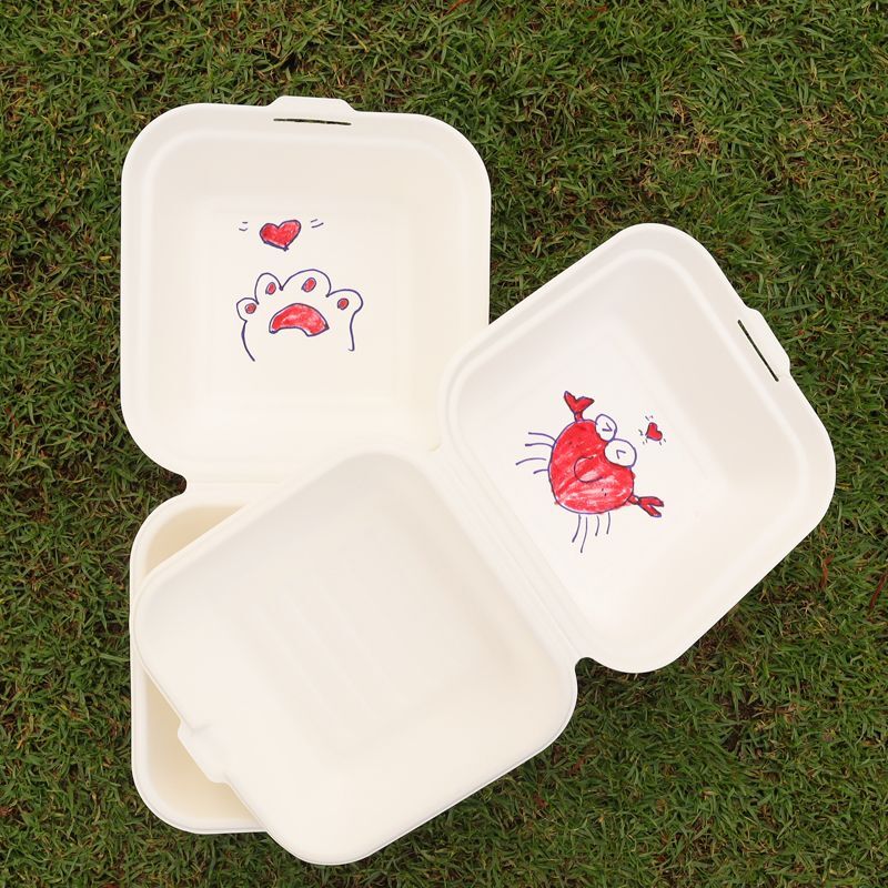 Food Packaging Container Disposable Paper Biodegradable Lunch Box Bento  Packing Box - China Sugarcane Pulp and European Standards price