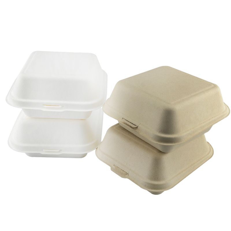 Custom Biodegradable Disposable Take Out/To Go Food Container Wholesale  Bulk Manufacturer