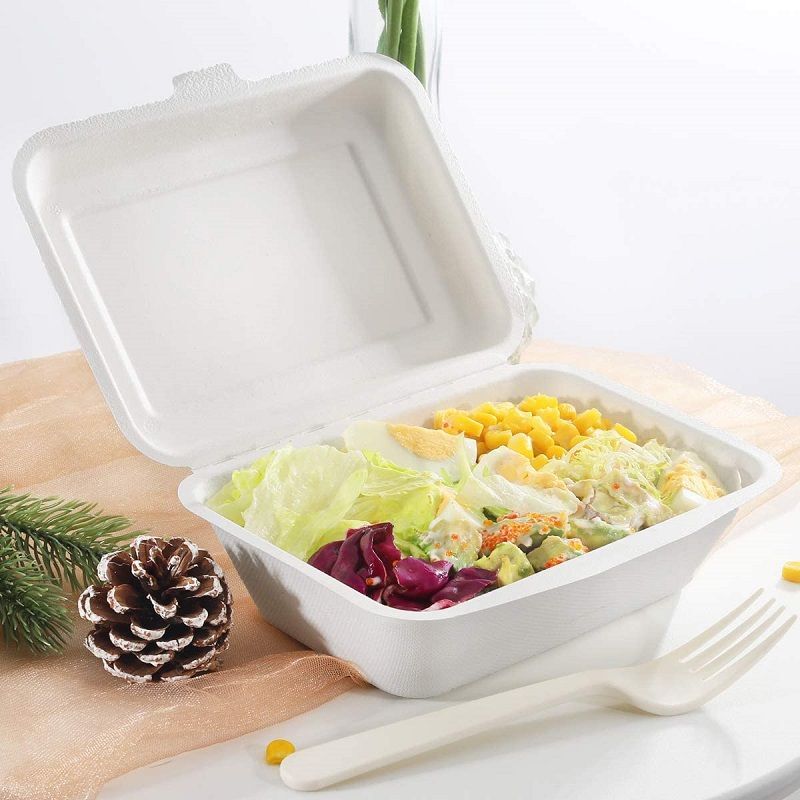 Disposable Food Container